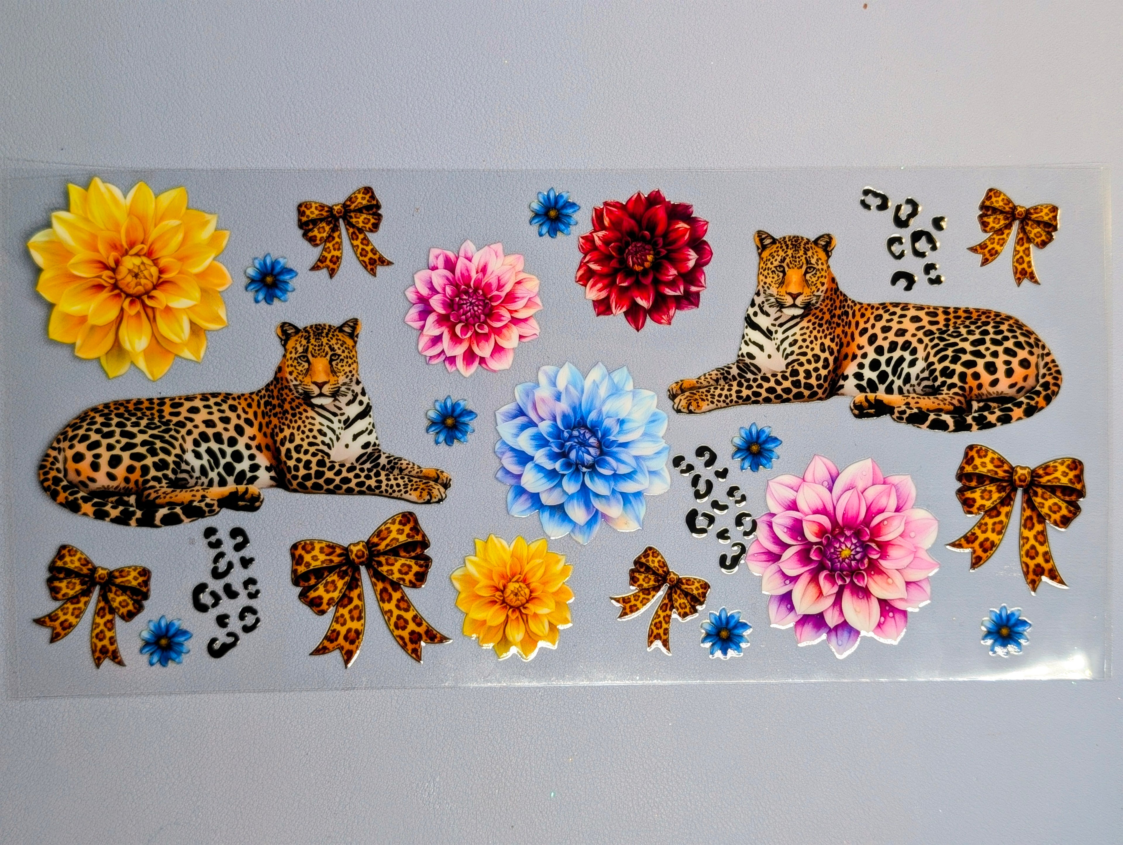 Cheetah #2