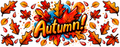 Fall #9