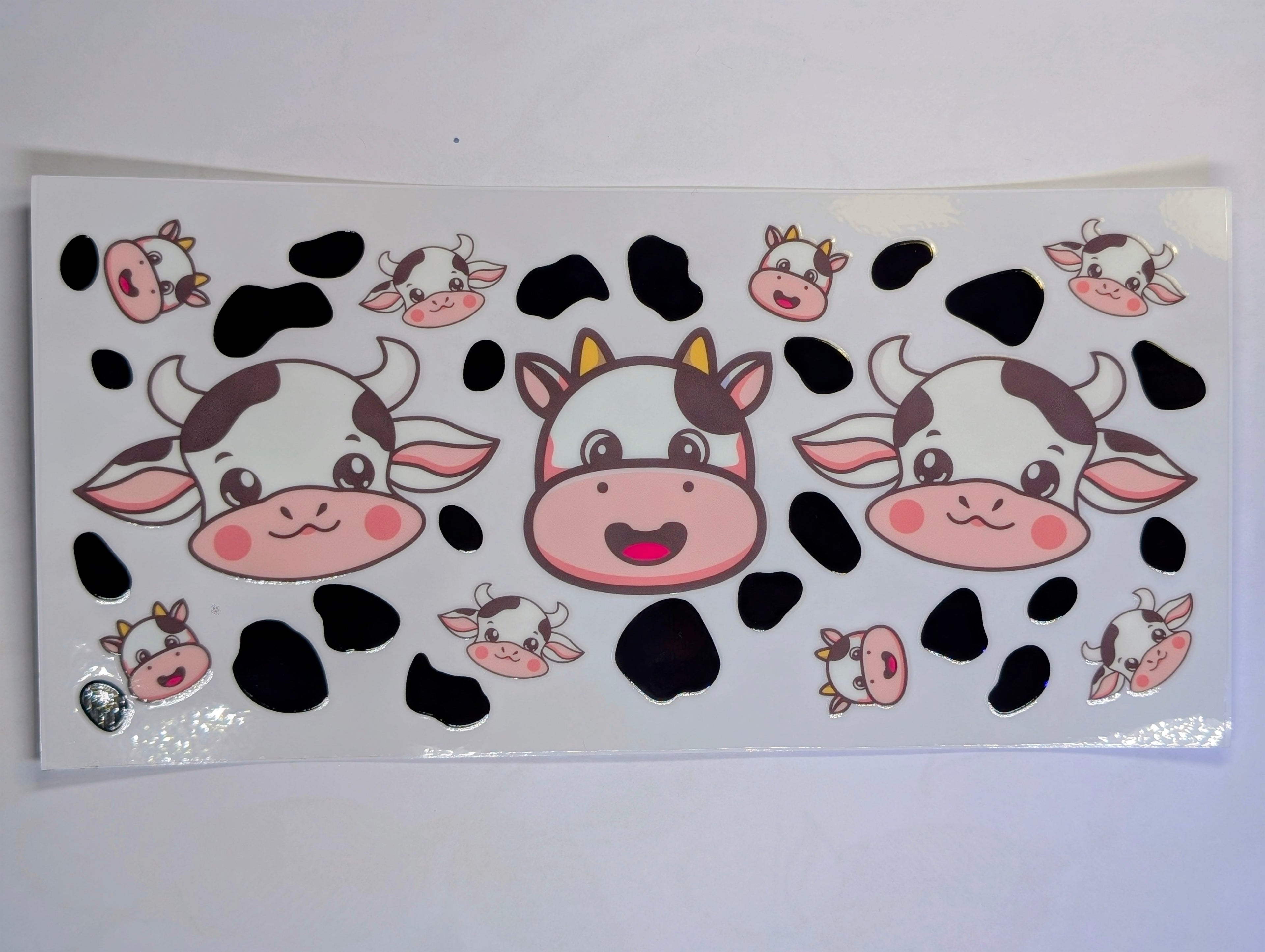 Cow #7